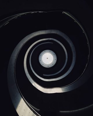 Fibonacci Spirale Natur