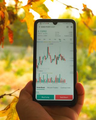Krypto Bitcoin